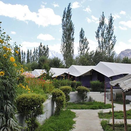 Hotel Tiger Camp Nubra Exterior foto